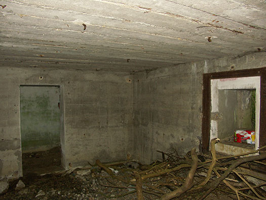 Die010 Mont Robin