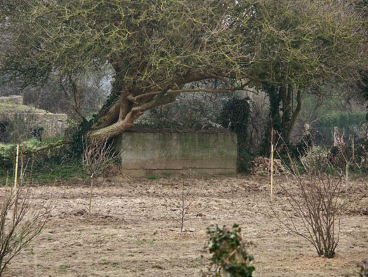 Wn108
Battr St  Martin de Varreville