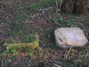 Two bases for heating stoves that would have been used in the huts, There would be one under every heater.