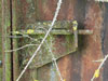Door bolt