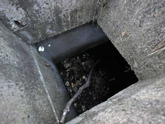 Führerhauptquartier ´Wolfsschlucht 2´ Flakstellung ´B´