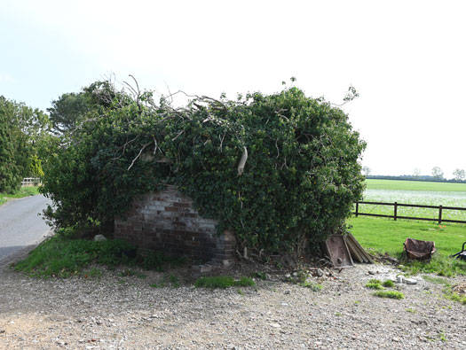 RAF Matlask