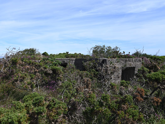 StP235 Carneville Osteck 'Flak Gruppe'