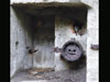 Inside a niche on another bunker.