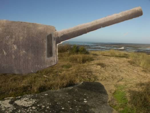 Ro425 ´Kora´, Ro429 'Korola', Ro424 'Käthe', Ile de Ré