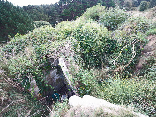 Alderney, M5 Wn 'Hafen-Süd'