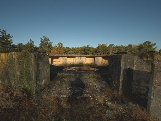 Ro425 ´Kora´, Ro429 'Korola', Ro424 'Käthe', Ile de Ré
