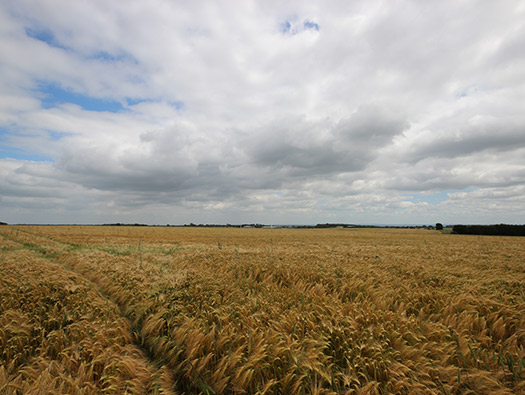 RAF Babdown Farm RLG