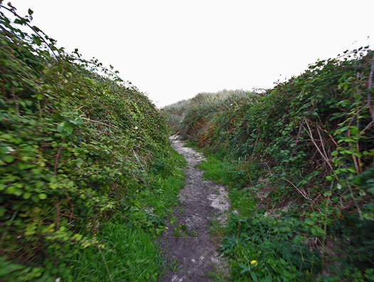 Alderney, M2 Wn 'Hafen'