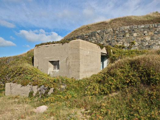 Alderney, M4 Wn Dohlenfest