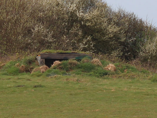 StP026 Batterie West Ecqueville