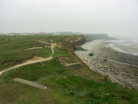 StP207 Fischreiher