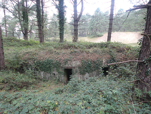 StP Gruppe Mont St-Frieux.