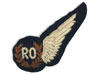 Radio Radar Operator WWRAF brevet badge.