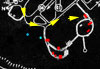 Red : buildings that exist.
    Yellow : route.
    Blue : pillboxes.