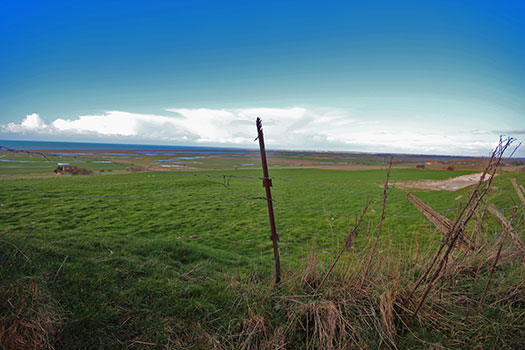 Ca12 Onival.