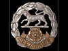 Hampshire Regiment.