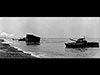 DD Sherman tanks coming ashore.