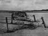 Barbed wire on the beach.
