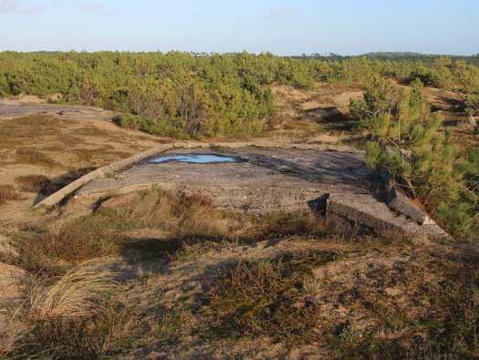 Gi05 'Annaberg' Point Espagnol