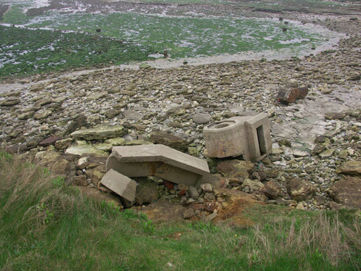 StP207 Fischreiher