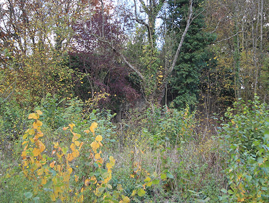 Führerhauptquartier‘Wolfsschlucht 2’ Flakstellung ‘16’
