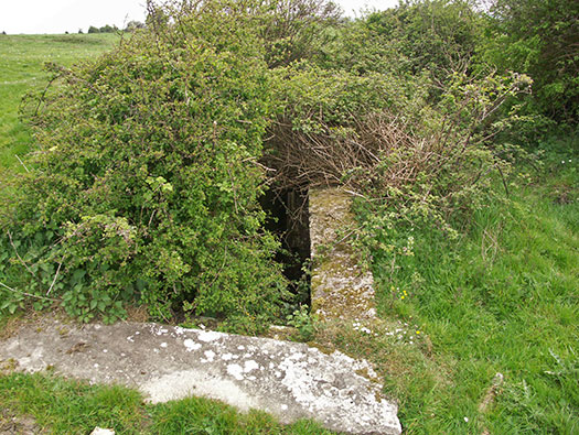 Die010 Mont Robin