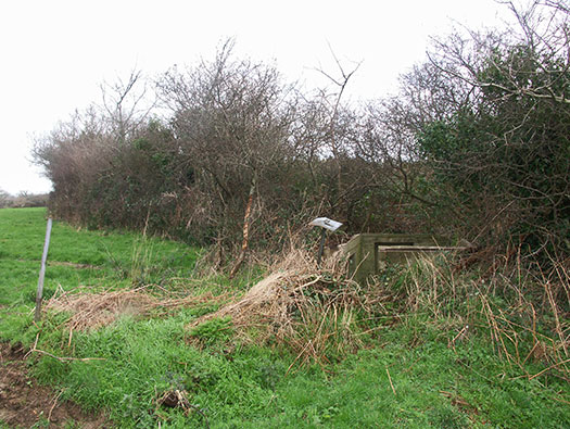 Wn165 Cosqueville étang du Pelat