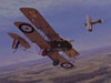 RFC/RAF WW1
  Lanoe George Hawker, VC, DSO.