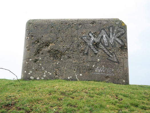Die010 Mont Robin