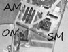 AM - Airman's Institute.
    OM - Officers Mess.
    SM - Sergeants Mess.
