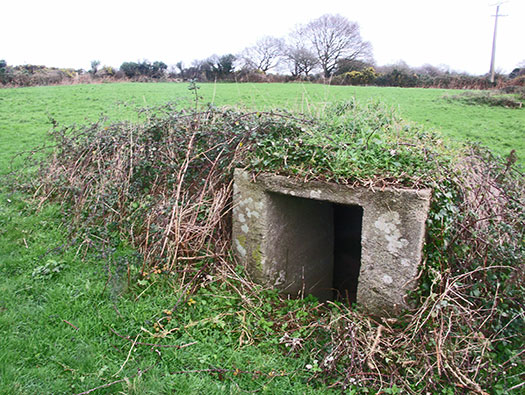 Wn165 Cosqueville étang du Pelat