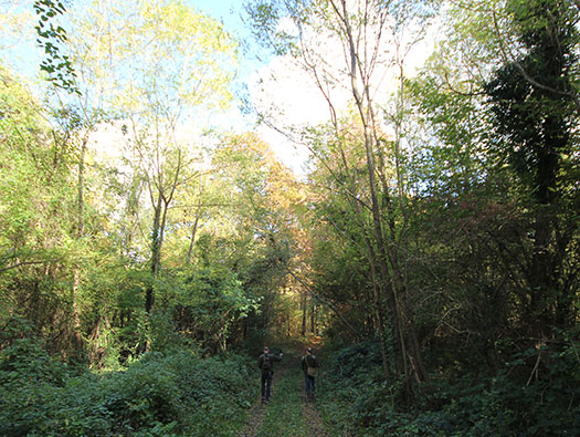 Führerhauptquartier ‘Wolfsschlucht 2’   Flakstellung ‘16’,   Margival, Soissons, France.
