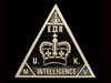 MI 5 logo.