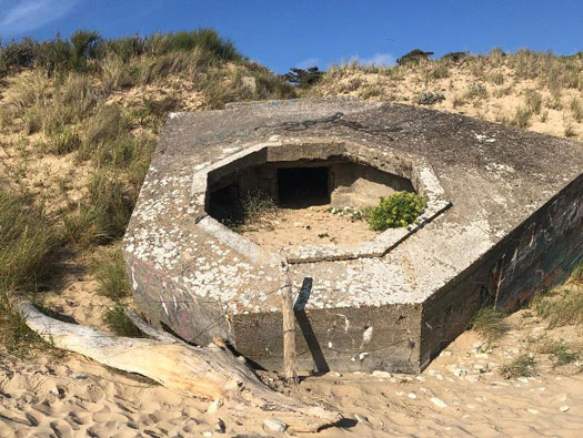 Ro425 ´Kora´, Ro429 'Korola', Ro424 'Käthe', Ile de Ré