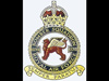 207 Squadrons own website