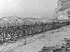 Barbed wire.
