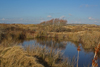 Shell/bomb craters, this one full of water. This whole area was French military range until recently.