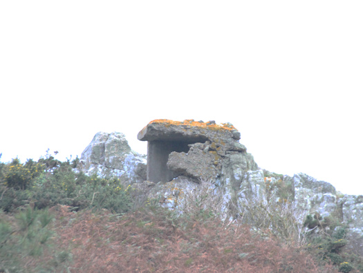 Wn310 La Roche Gros Mont