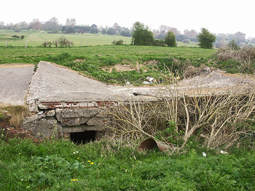 Die010 Mont Robin