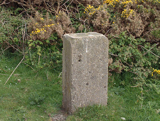 RAF Cleave