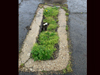 Drainage without a cover..