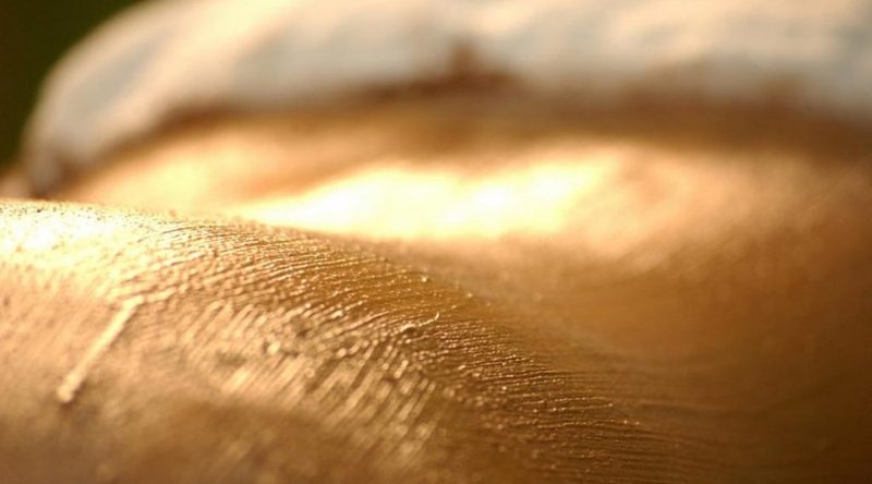 Sesion Rollaction · detalle del tratamiento