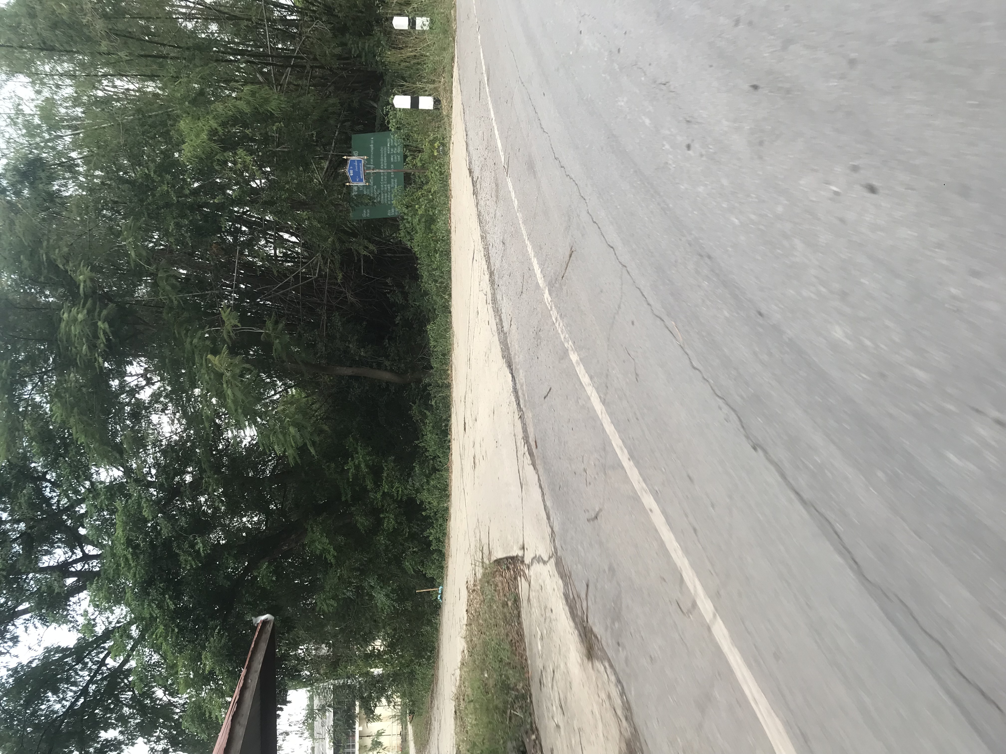 ATRANS hiyari spot