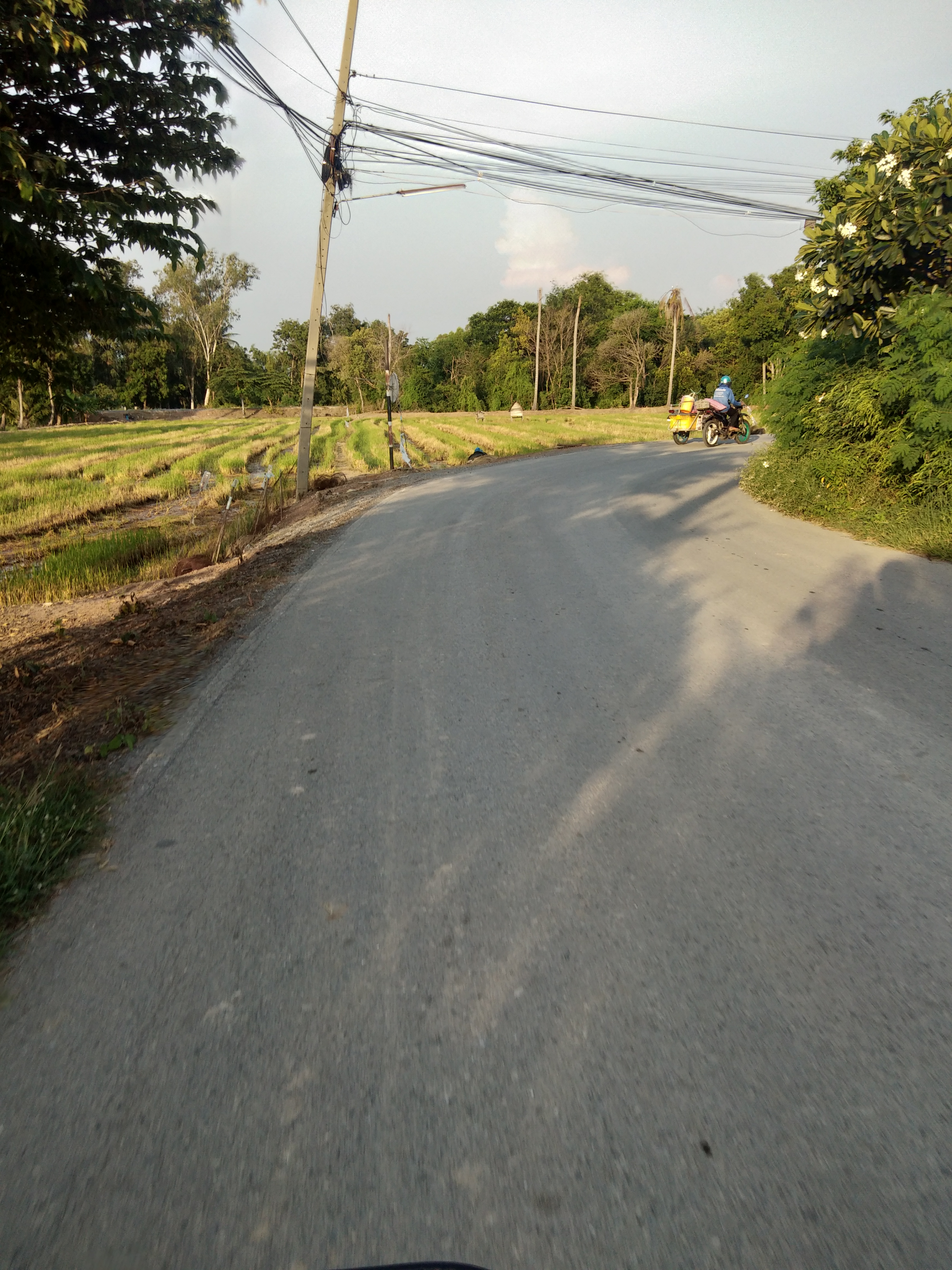 ATRANS hiyari spot