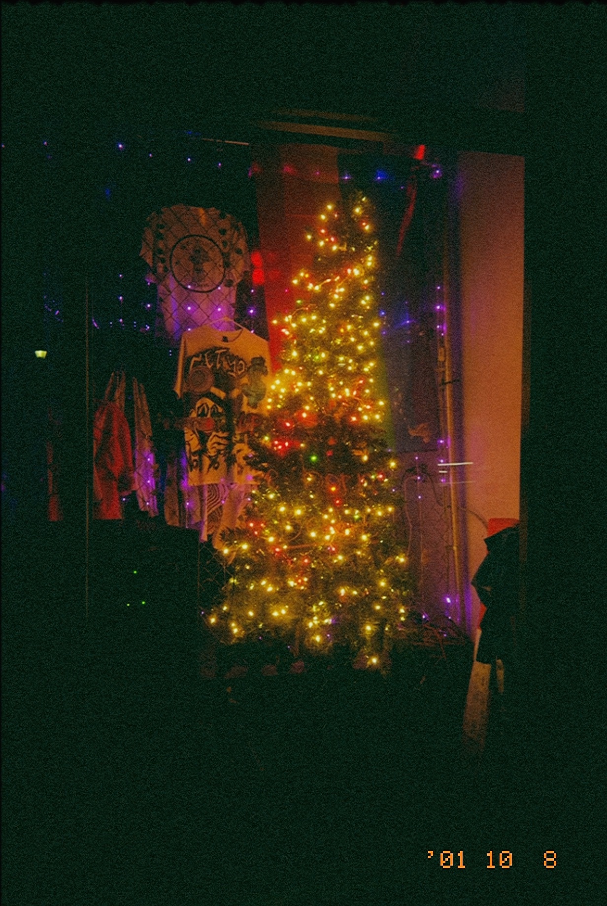 GOLD 400 snap by jose