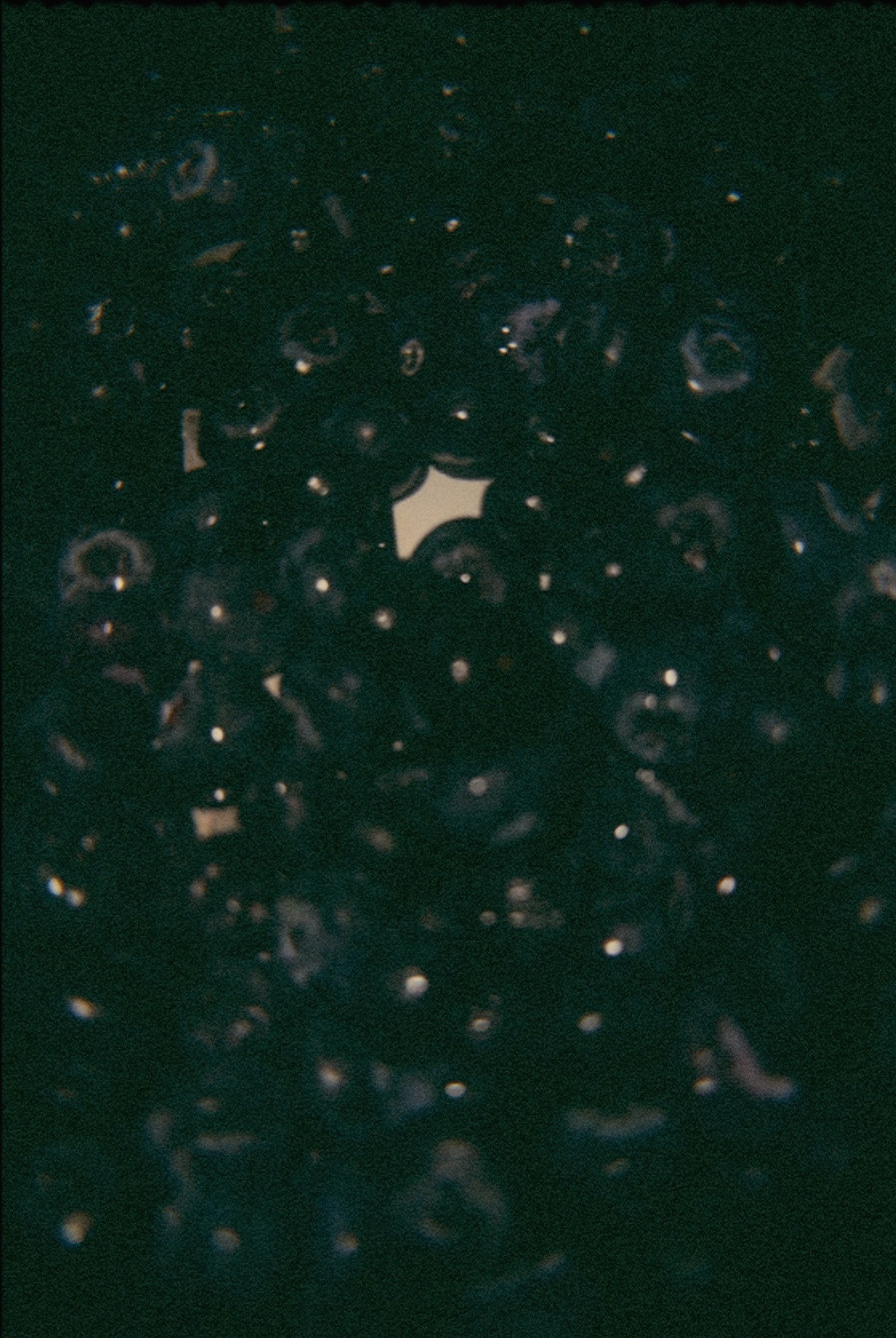 GOLD 400 snap by jose