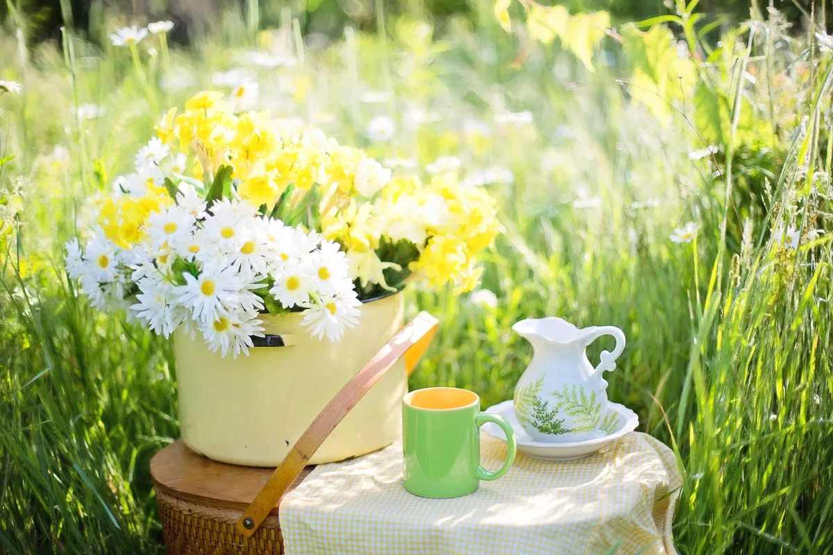 AUC意識進化占星学Basic１（旧名：コンシャスネスアストロロジー入門コース）　受講生の声