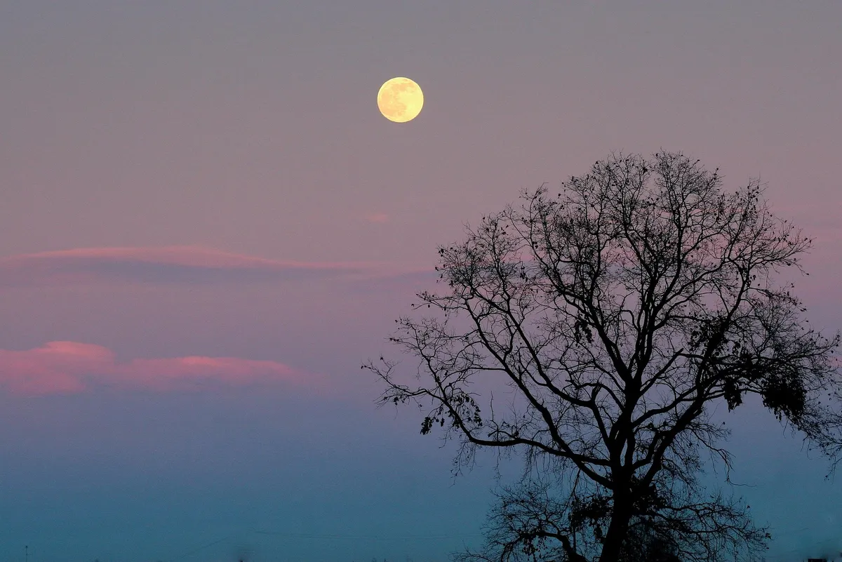 風の時代を魂の声で生きるために｜さそり座満月のオラクルカードが伝える７つのメッセージ