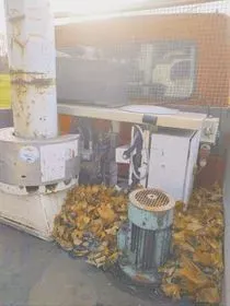 Opel Movano / 2000 (4)